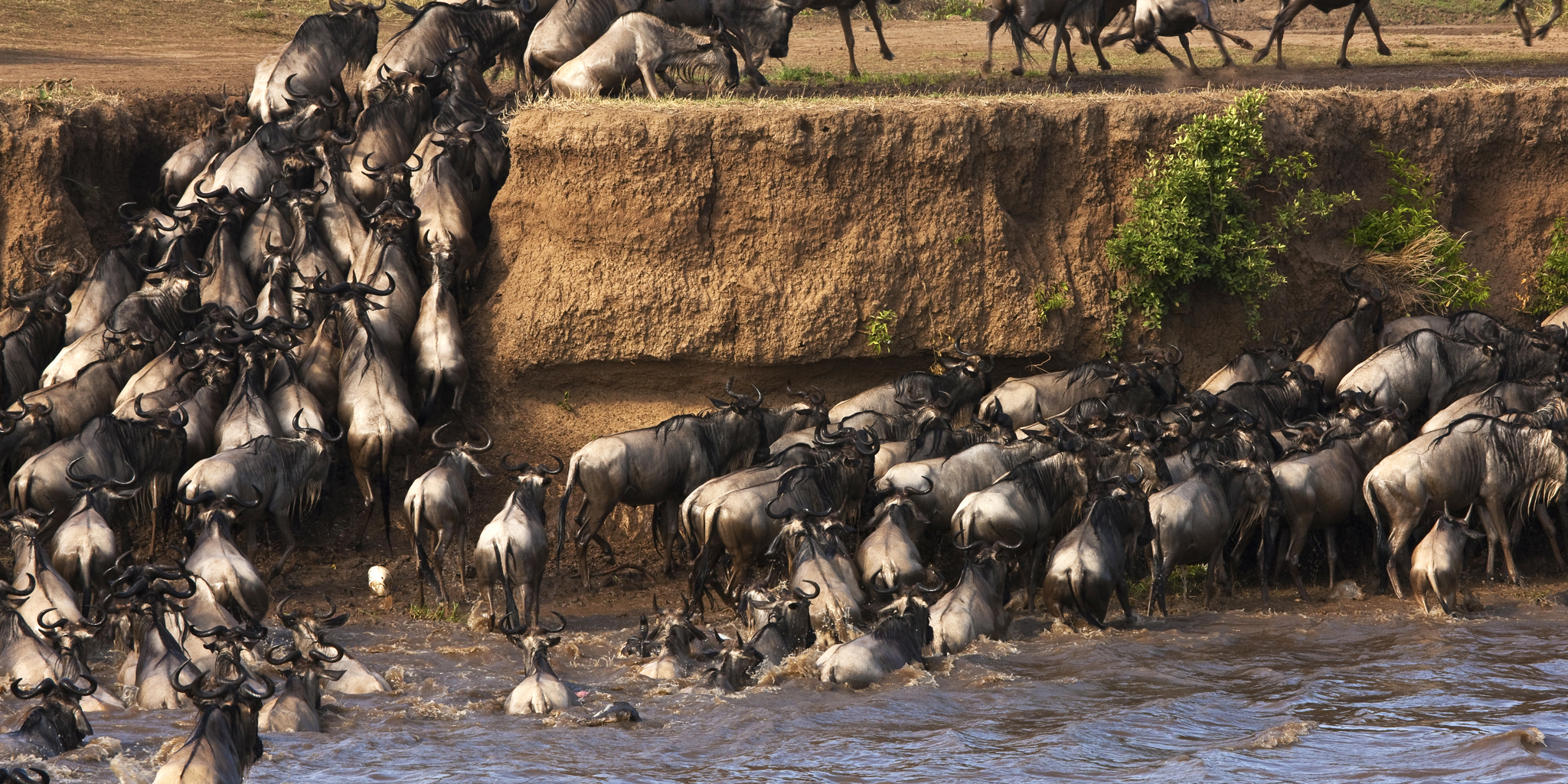 Masai Mara 4-Day Safari